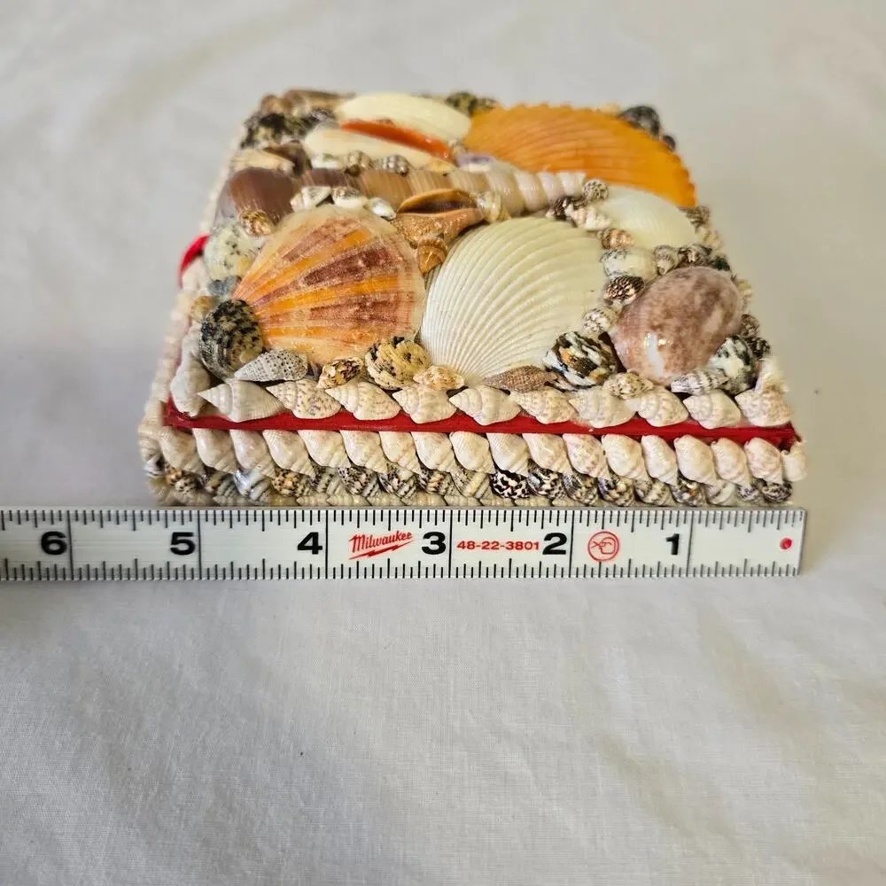 Shell Trinket Box Embellished Decorative Seashells 5.5